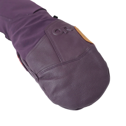 Team GORE-TEX® Mitt