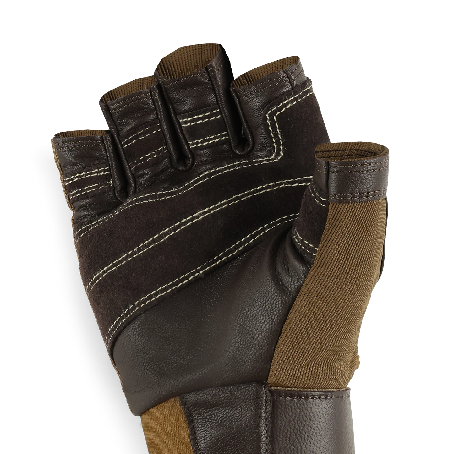 Fossil Rock II Glove